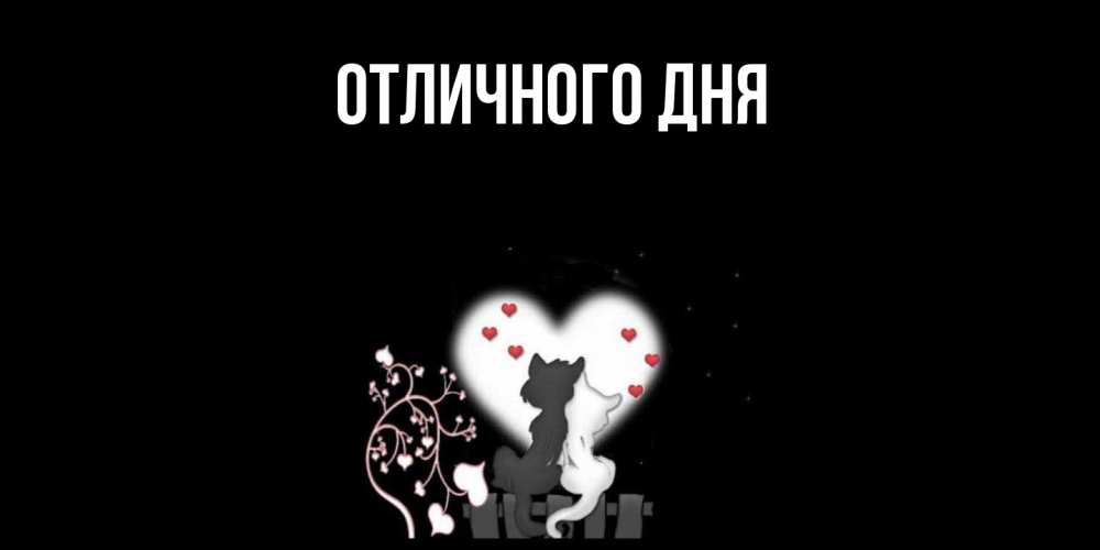 Открытка на каждый день с именем, Леся Скучашки коты Прикольная открытка с пожеланием онлайн скачать бесплатно 