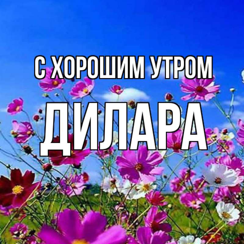 Картинка С хорошим утром, Дилара