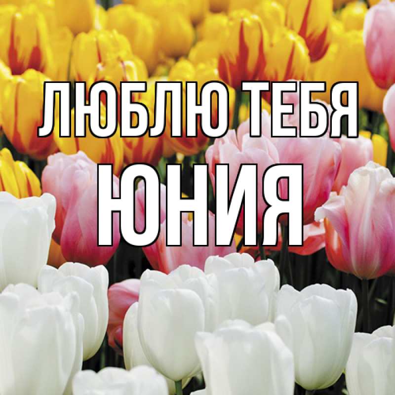 Картинка Люблю тебя, Юния