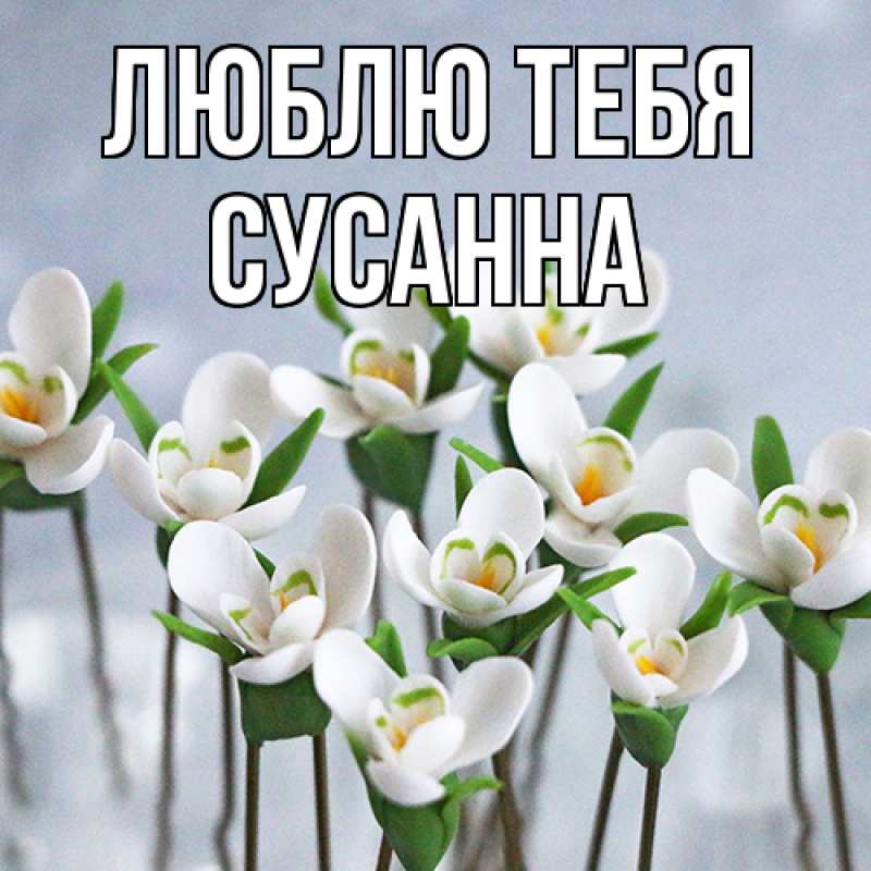 Открытка с именем, Сусанна, Люблю тебя