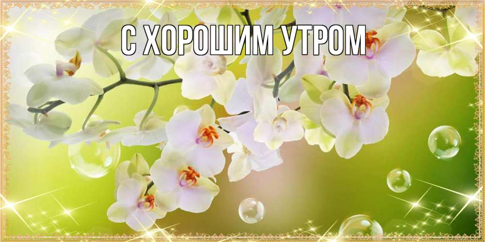 Открытка на каждый день с именем, Лёня Люблю тебя открытка с цветами на международный женский день Прикольная открытка с пожеланием онлайн скачать бесплатно 