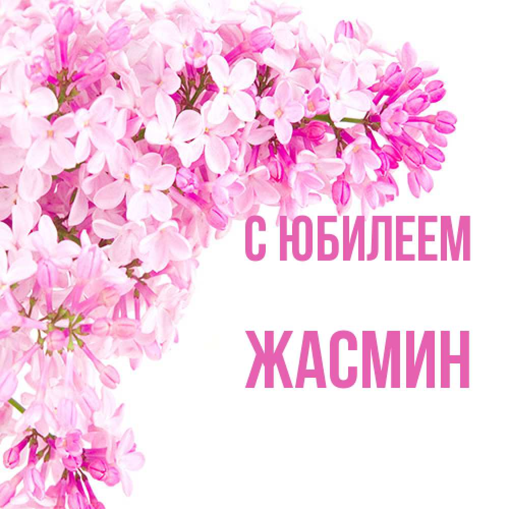 Открытка на каждый день с именем, Жасмин C юбилеем Сирень на белом фоне Прикольная открытка с пожеланием онлайн скачать бесплатно 