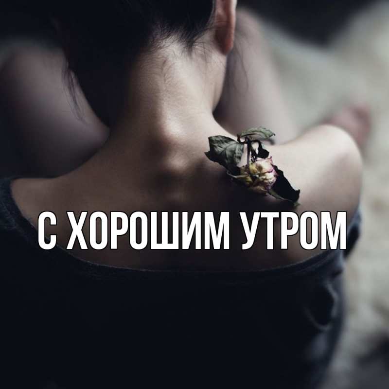 Картинка Скучашки, Рафаил