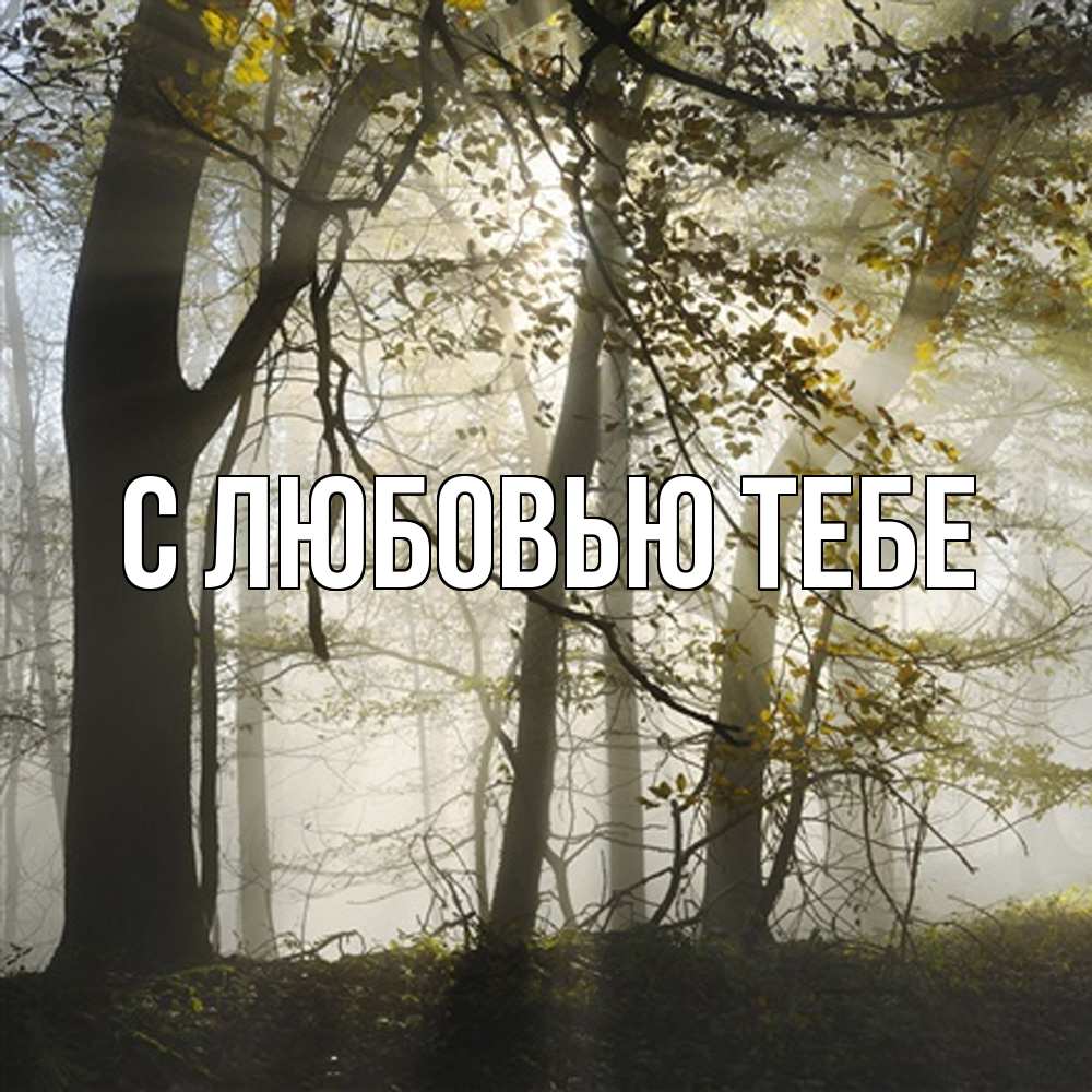 Открытка на каждый день с именем, Магда Скучашки грустно Прикольная открытка с пожеланием онлайн скачать бесплатно 