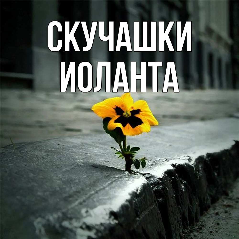 Открытка на каждый день с именем, Иоланта Скучашки надеюсь будет лучше Прикольная открытка с пожеланием онлайн скачать бесплатно 