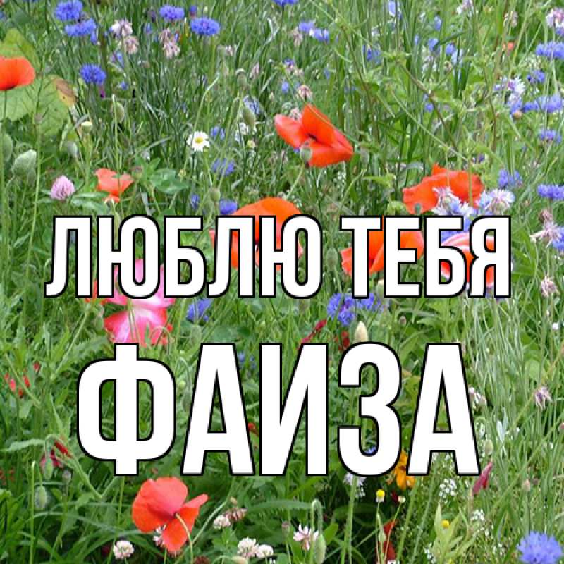 Открытка с именем, Фаиза, Люблю тебя