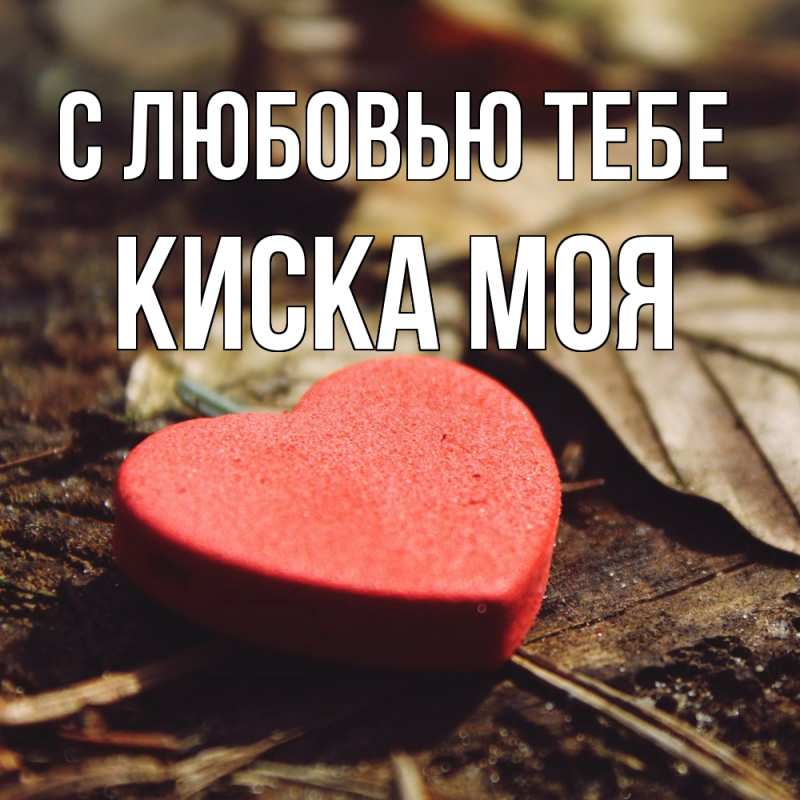 Картинка С любовью тебе, Киска моя