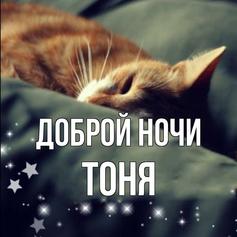 Открытка на каждый день с именем, Тоня Доброй ночи кроватка Прикольная открытка с пожеланием онлайн скачать бесплатно 