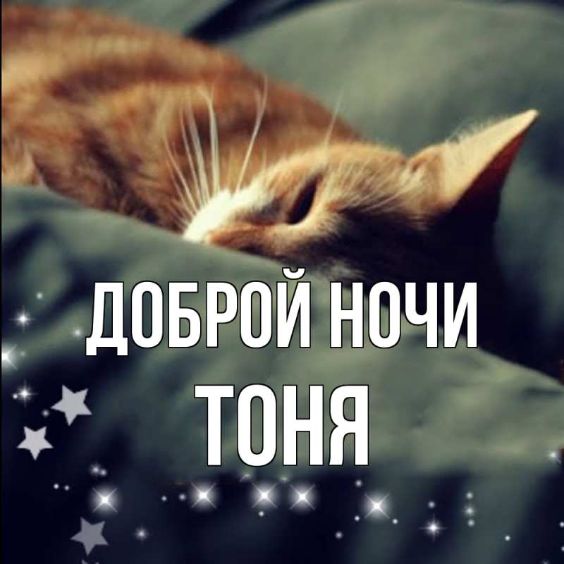 Картинка Доброй ночи, Тоня