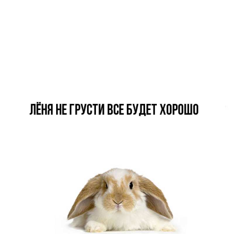 Картинка Не грусти, все будет хорошо, Лёня