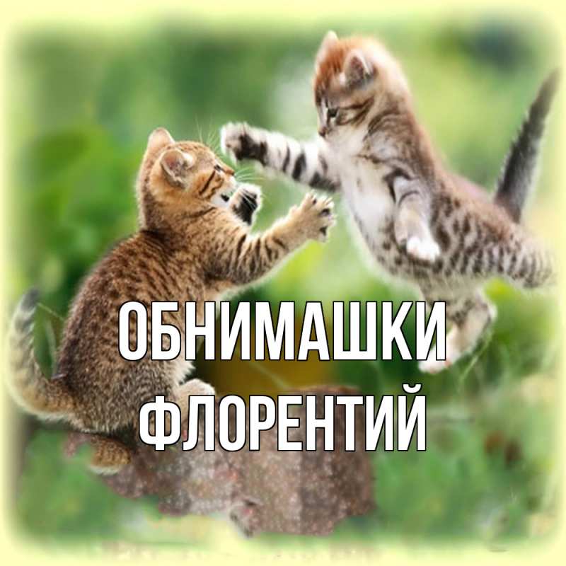 Картинка Обнимашки, Флорентий