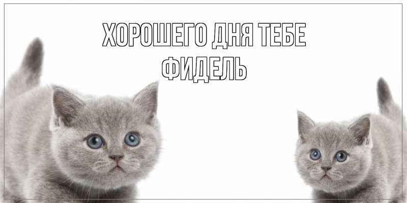 Открытка с именем, Фидель, Хорошего дня тебе