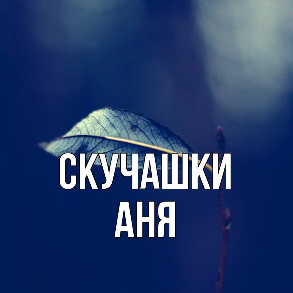Открытка на каждый день с именем, Аня Скучашки одна ветка 1 Прикольная открытка с пожеланием онлайн скачать бесплатно 