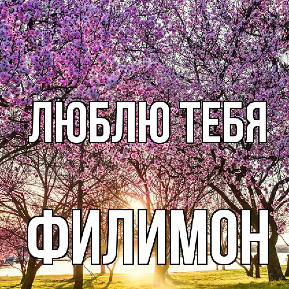 Открытка на каждый день с именем, Филимон Люблю тебя международный женский день Прикольная открытка с пожеланием онлайн скачать бесплатно 