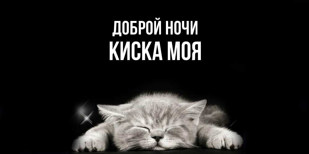 Открытка на каждый день с именем, Киска-моя Доброй ночи спящий котик Прикольная открытка с пожеланием онлайн скачать бесплатно 