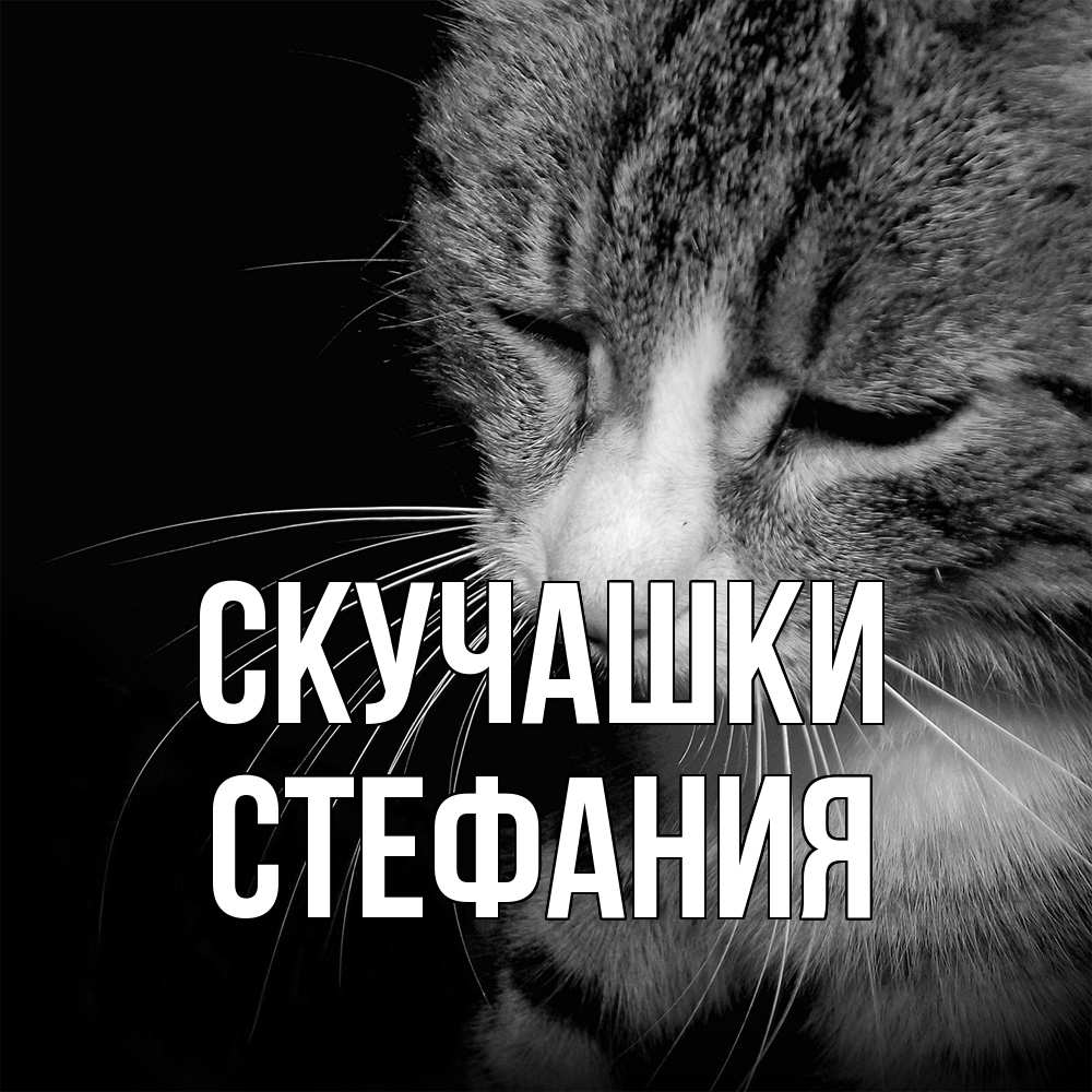 Открытка на каждый день с именем, Стефания Скучашки мне скучно Прикольная открытка с пожеланием онлайн скачать бесплатно 