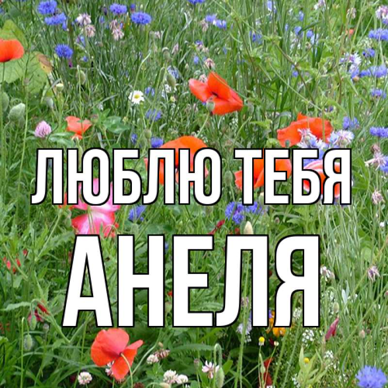 Картинка Люблю тебя, Анеля