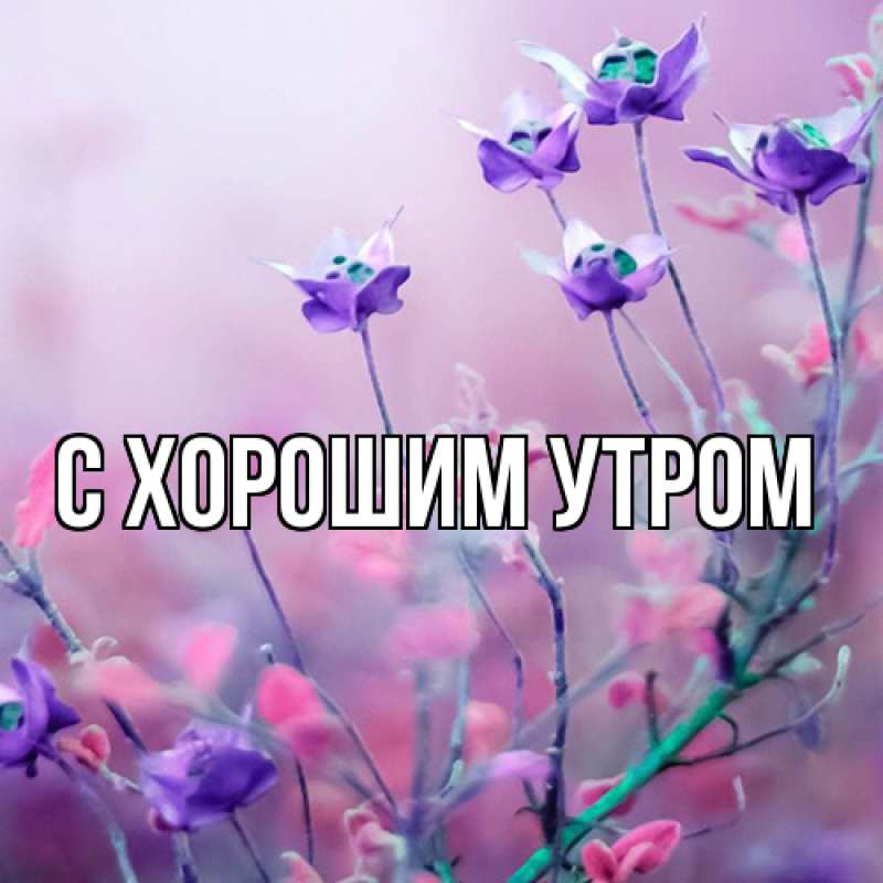 Картинка Люблю тебя, Иван