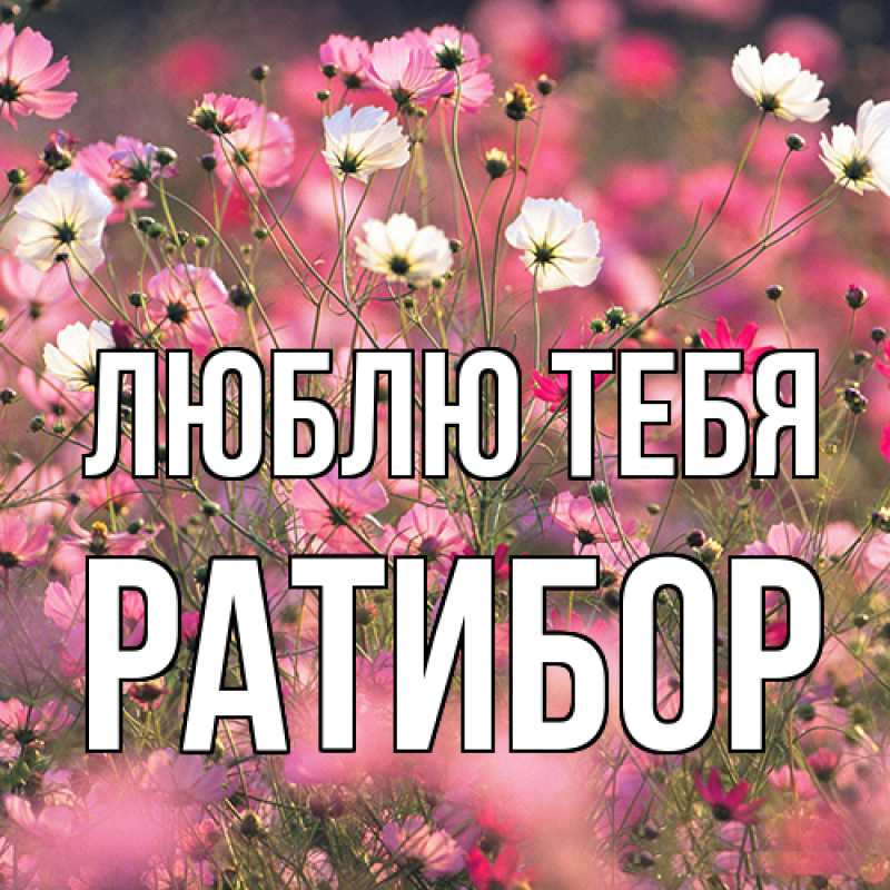 Картинка Люблю тебя, Ратибор