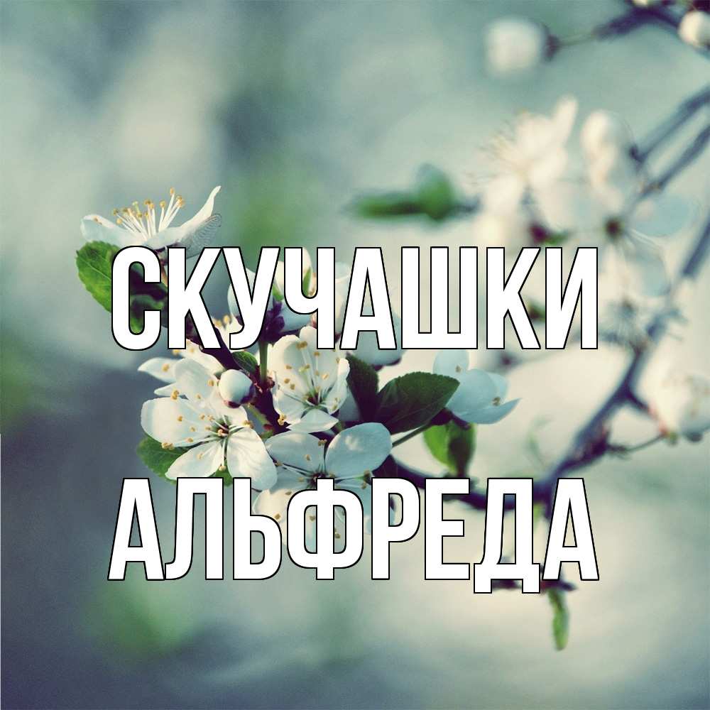 Открытка на каждый день с именем, Альфреда Скучашки весна Прикольная открытка с пожеланием онлайн скачать бесплатно 