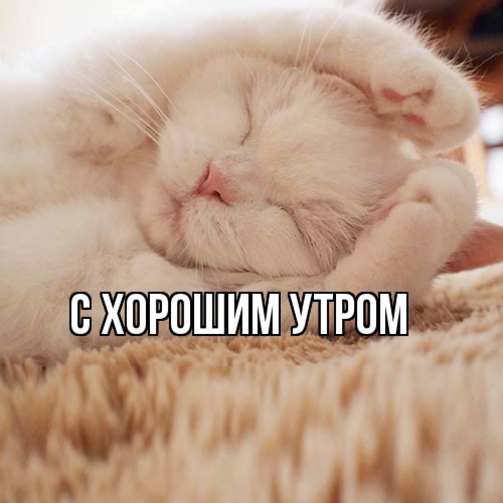 Открытка на каждый день с именем, Тина Я жду тебя для любимой девушки милота Прикольная открытка с пожеланием онлайн скачать бесплатно 