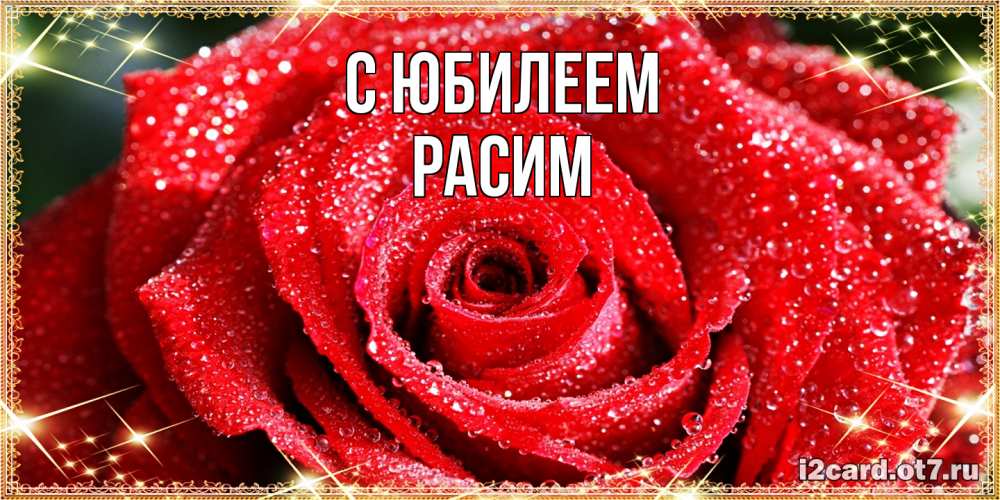 Открытка на каждый день с именем, Расим C юбилеем роса и роза. открытка с красивой розой Прикольная открытка с пожеланием онлайн скачать бесплатно 