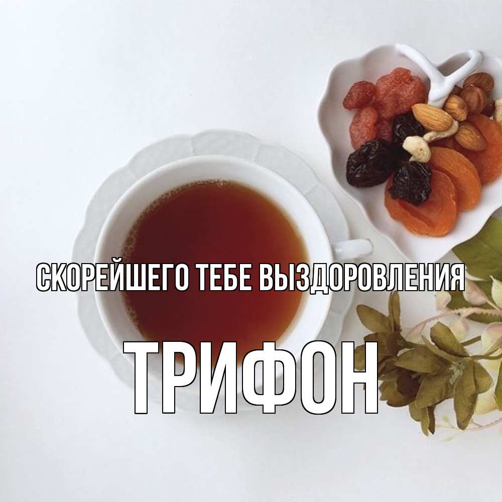 Открытка на каждый день с именем, Трифон Скорейшего тебе выздоровления неизвестные растения Прикольная открытка с пожеланием онлайн скачать бесплатно 