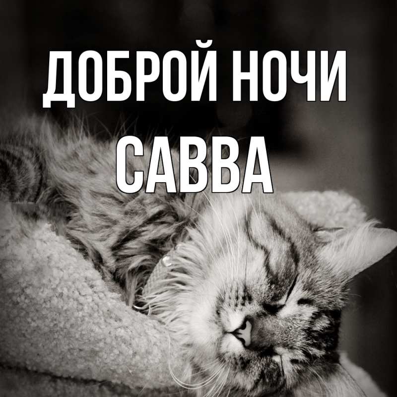 Картинка Доброй ночи, Савва