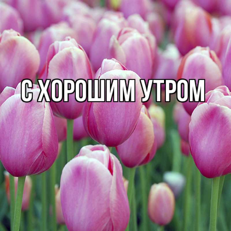 Картинка Люблю тебя, Лёня