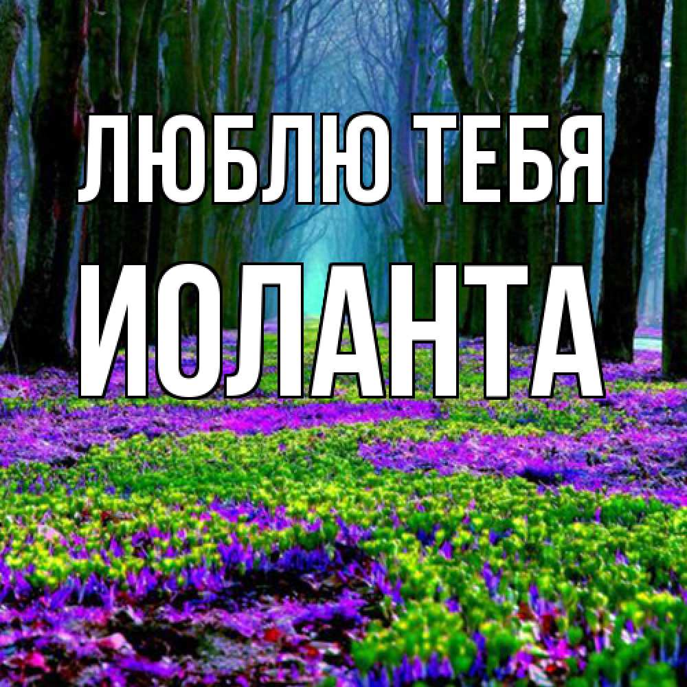 Открытка на каждый день с именем, Иоланта Люблю тебя фиолетовые цветы в лесу 1 Прикольная открытка с пожеланием онлайн скачать бесплатно 