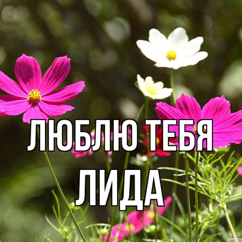 Картинка Люблю тебя, Лида