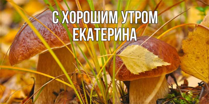 Открытка с именем, Екатерина, С хорошим утром