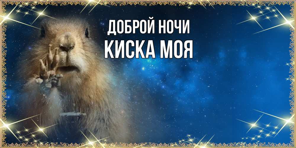 Открытка на каждый день с именем, Киска-моя Доброй ночи спокойной ночи сладких снов Прикольная открытка с пожеланием онлайн скачать бесплатно 