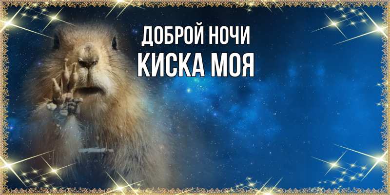 Картинка Доброй ночи, Киска моя
