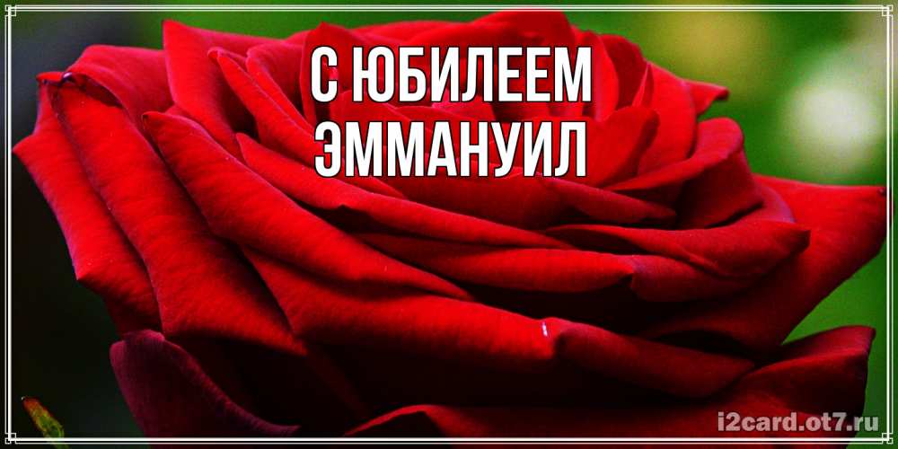 Открытка на каждый день с именем, Эммануил C юбилеем розочка очень красивая Прикольная открытка с пожеланием онлайн скачать бесплатно 