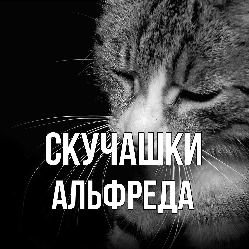 Открытка на каждый день с именем, Альфреда Скучашки мне скучно Прикольная открытка с пожеланием онлайн скачать бесплатно 