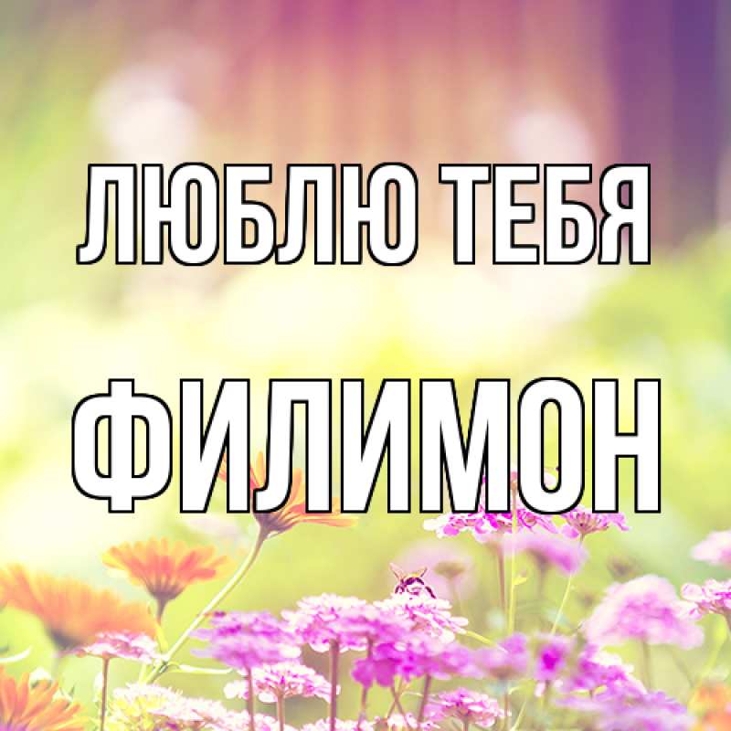 Картинка Люблю тебя, Филимон