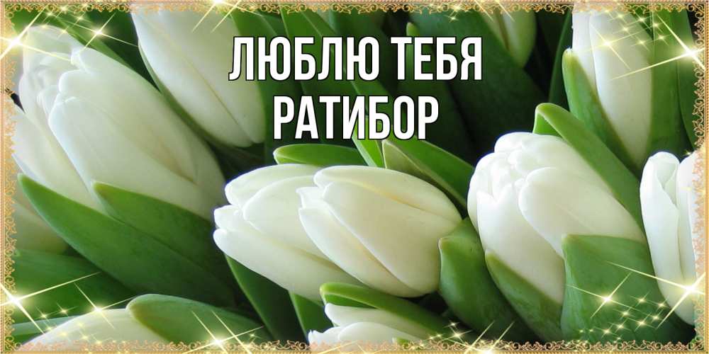 Открытка на каждый день с именем, Ратибор Люблю тебя поздравляем с 8 марта Прикольная открытка с пожеланием онлайн скачать бесплатно 