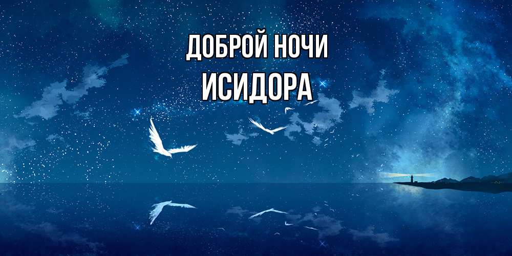 Открытка на каждый день с именем, Исидора Доброй ночи птицы летят на фоне ночного неба Прикольная открытка с пожеланием онлайн скачать бесплатно 