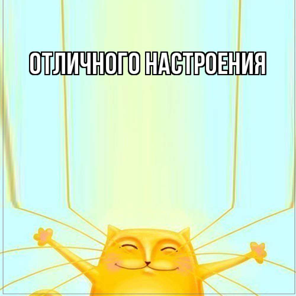 Открытка на каждый день с именем, Толя Большое спасибо кот с усами благодарит Прикольная открытка с пожеланием онлайн скачать бесплатно 