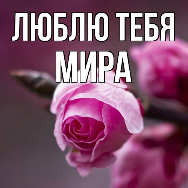 Открытка с именем, Мира, Люблю тебя