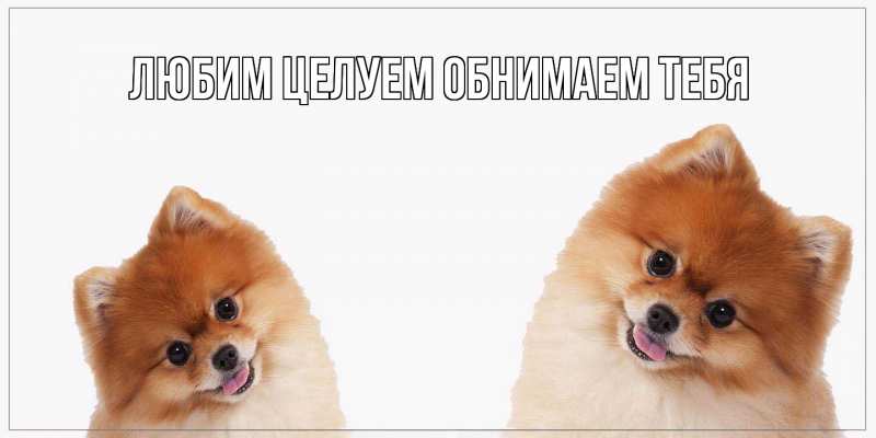 Картинка Хорошего дня тебе, Альфреда