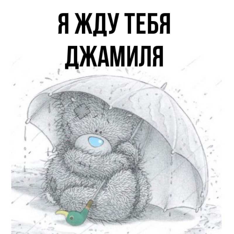 Картинка Я жду тебя, Джамиля