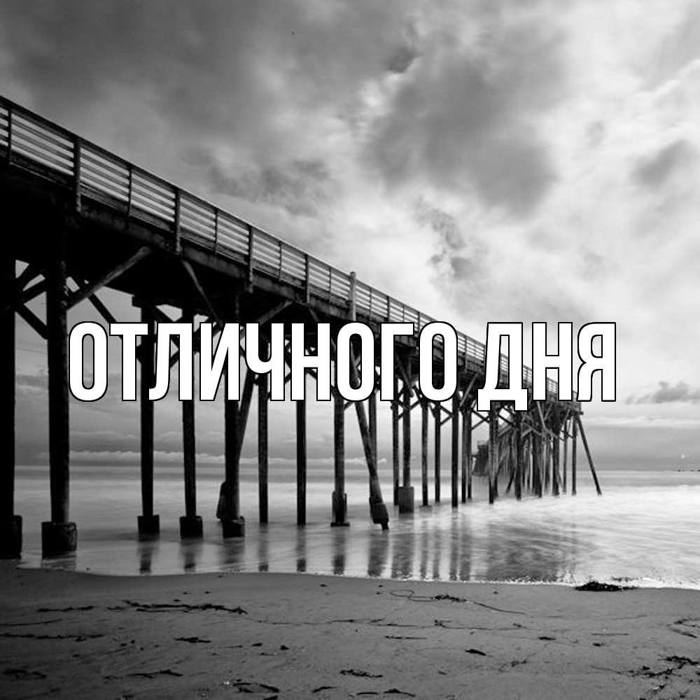 Открытка на каждый день с именем, Леся Скучашки старый Прикольная открытка с пожеланием онлайн скачать бесплатно 