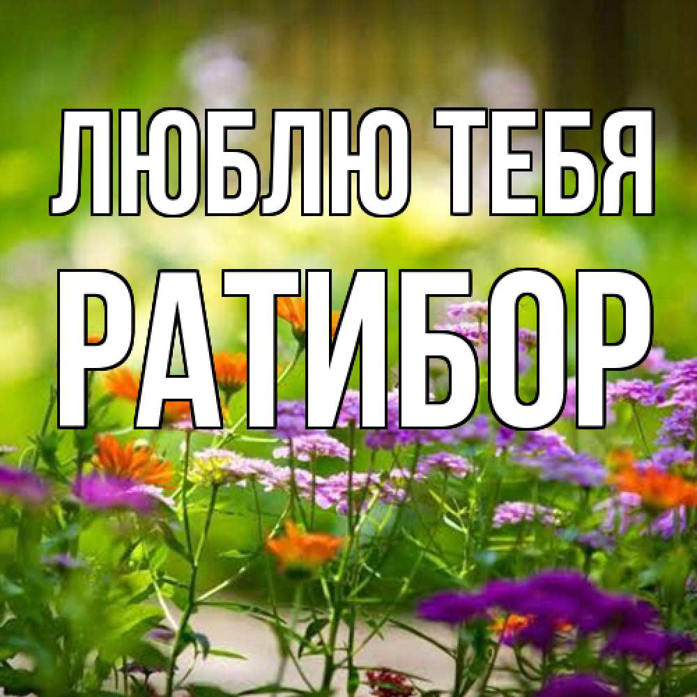 Открытка на каждый день с именем, Ратибор Люблю тебя цветы Прикольная открытка с пожеланием онлайн скачать бесплатно 