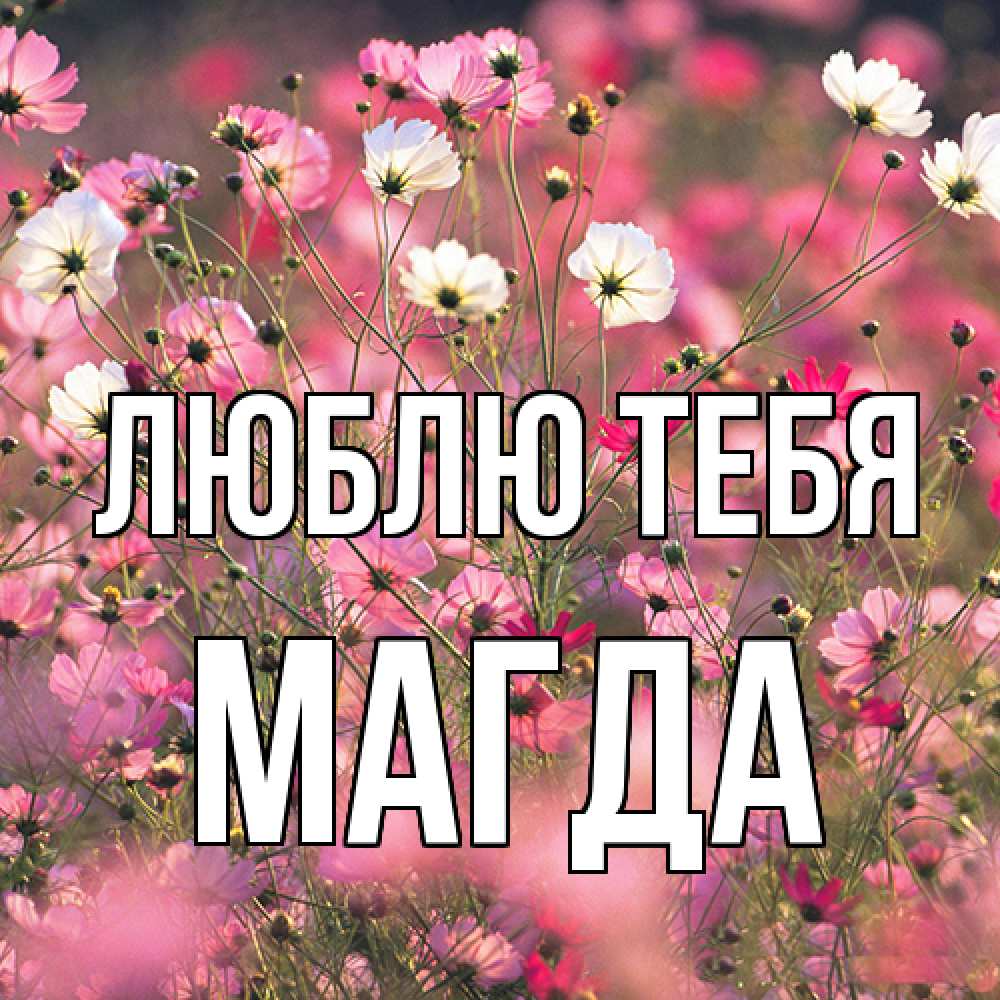 Открытка на каждый день с именем, Магда Люблю тебя красиво 1 Прикольная открытка с пожеланием онлайн скачать бесплатно 