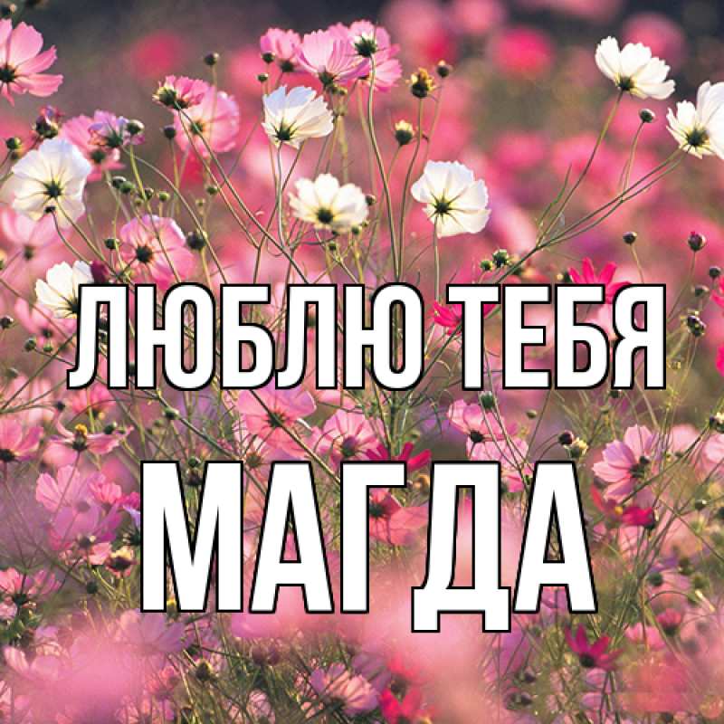 Картинка Люблю тебя, Магда