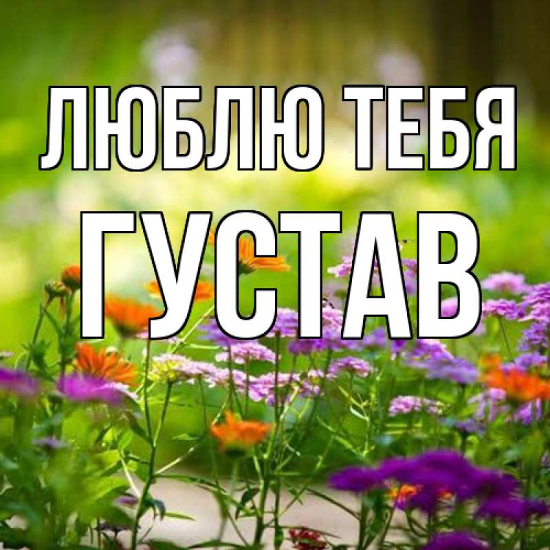 Картинка Люблю тебя, Густав