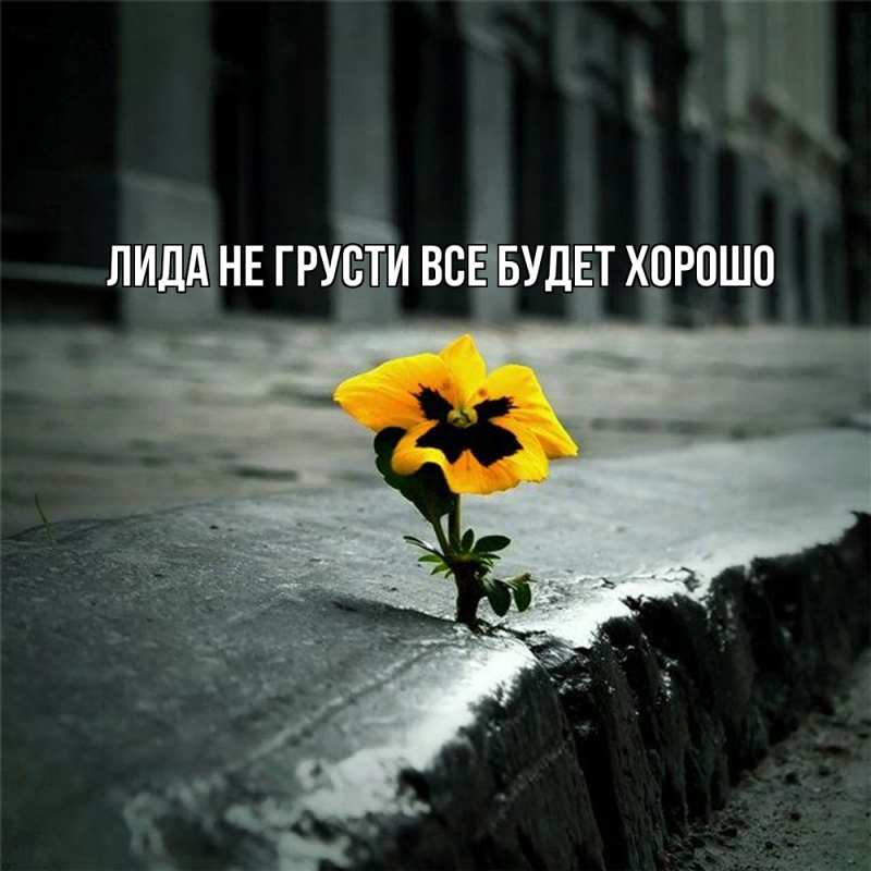 Открытка с именем, Лида, Не грусти все будет хорошо