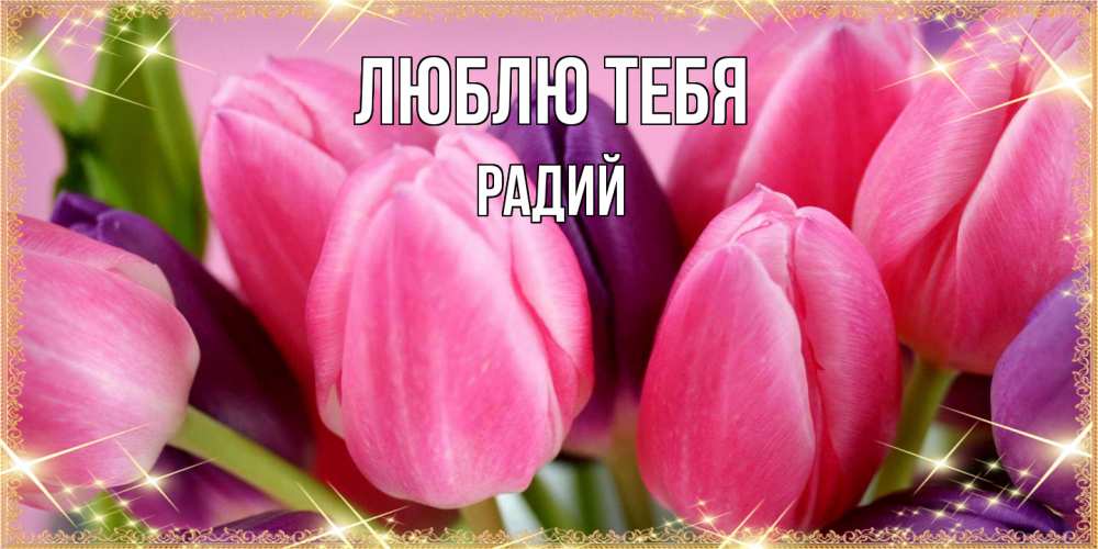 Открытка на каждый день с именем, Радий Люблю тебя тюльпаны для женщины на международный женский день Прикольная открытка с пожеланием онлайн скачать бесплатно 